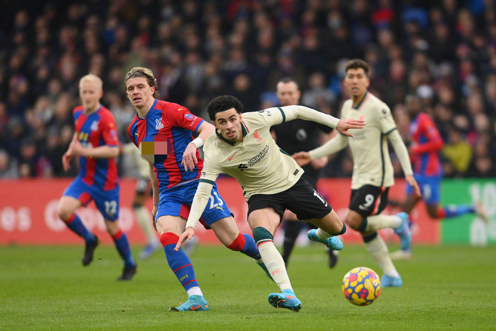 选大名单 选大名单